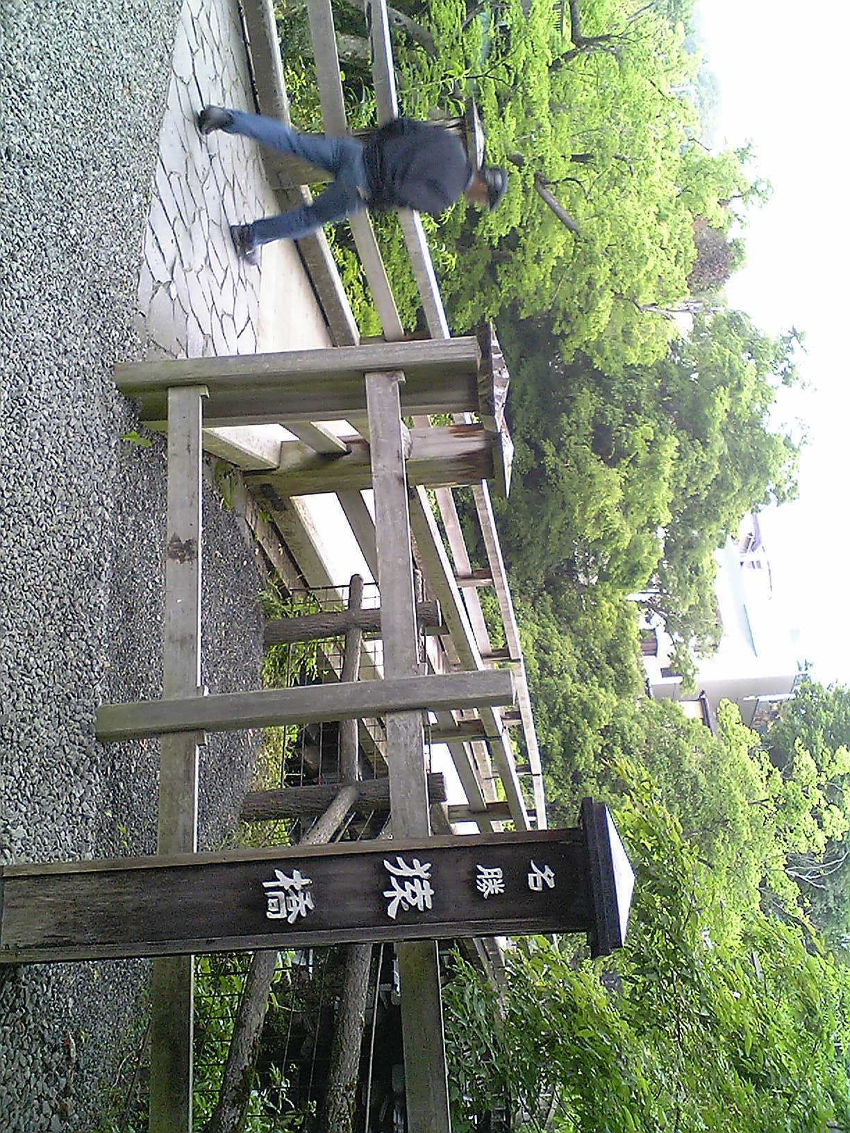 画像を等倍で表示します 画像