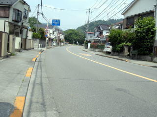 画像を等倍で表示します 画像
