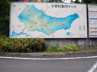 画像を等倍で表示します 画像