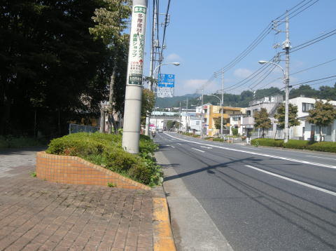 画像を等倍で表示します 画像